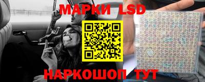 хмурый Тара