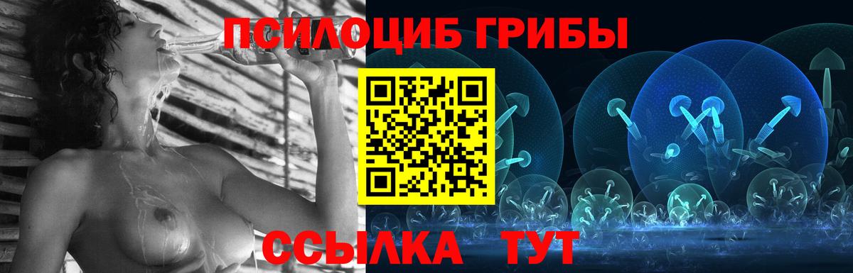 Псилоцибиновые грибы мицелий Кулебаки
